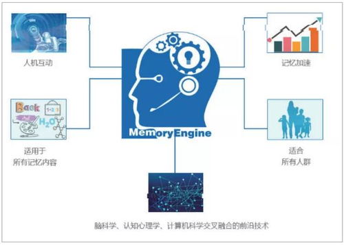 开学秒变 学渣 为什么孩子学英语投入大,效果差 原来症结在这里